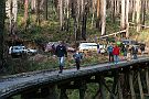 04-Two Dogs, Steve & Tom on the bridge